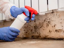 Best Mold Prevention Services  in Cherry Creek, CO